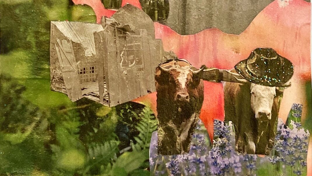 A collage with two cows, one wearing a cowboy hat with flowers in the background.