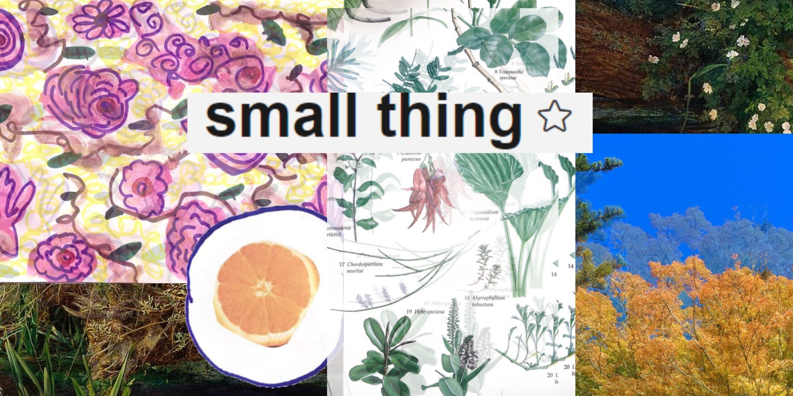 small thing