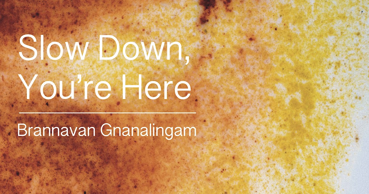 Slow Down, You’re Here by Brannavan Gnanalingam