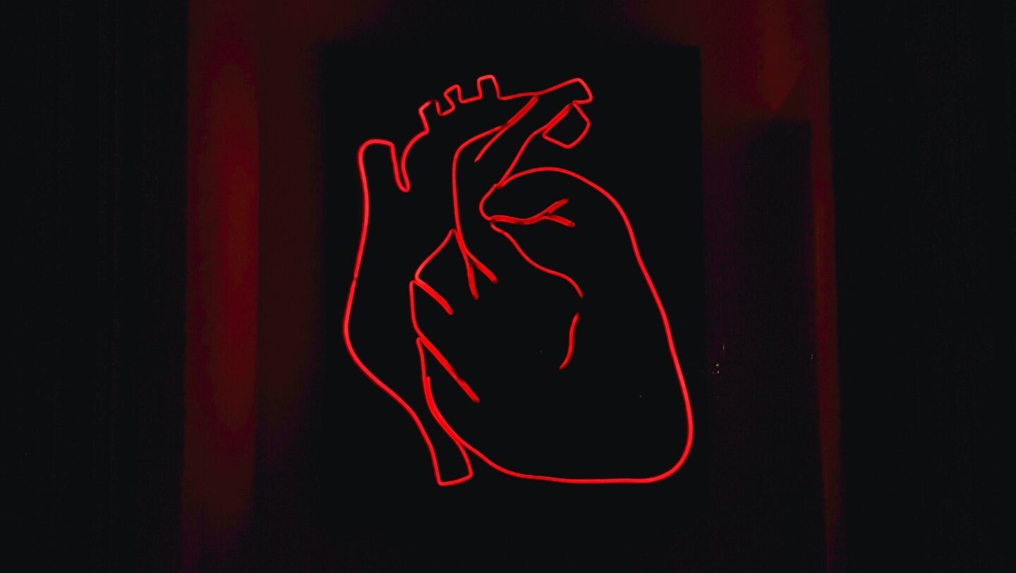 An anotomically correct neon heart sign on a dark background.