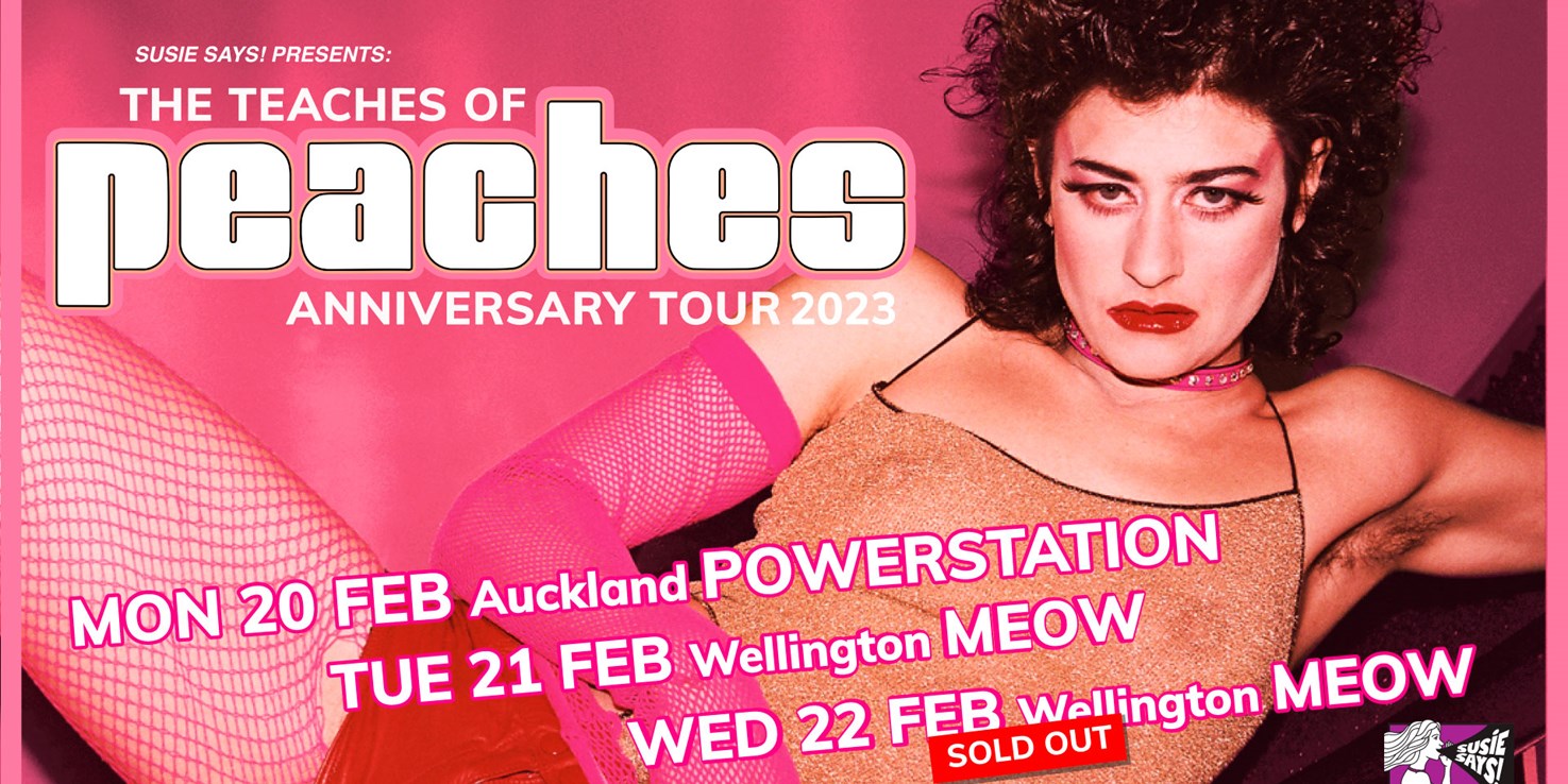 The Teaches of Peaches Anniversary Tour — A Review