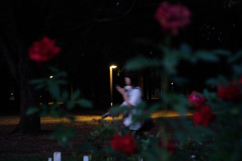 A very dark photograph, largely black, shot in a park after dark. In the background, a single streetlamp is the only thing in focus. It casts yellow light across the ground. In the foreground, the vague shapes of deep red roses frame the motion blur of an Asian schoolgirl, speaking into her phone as she walks past.