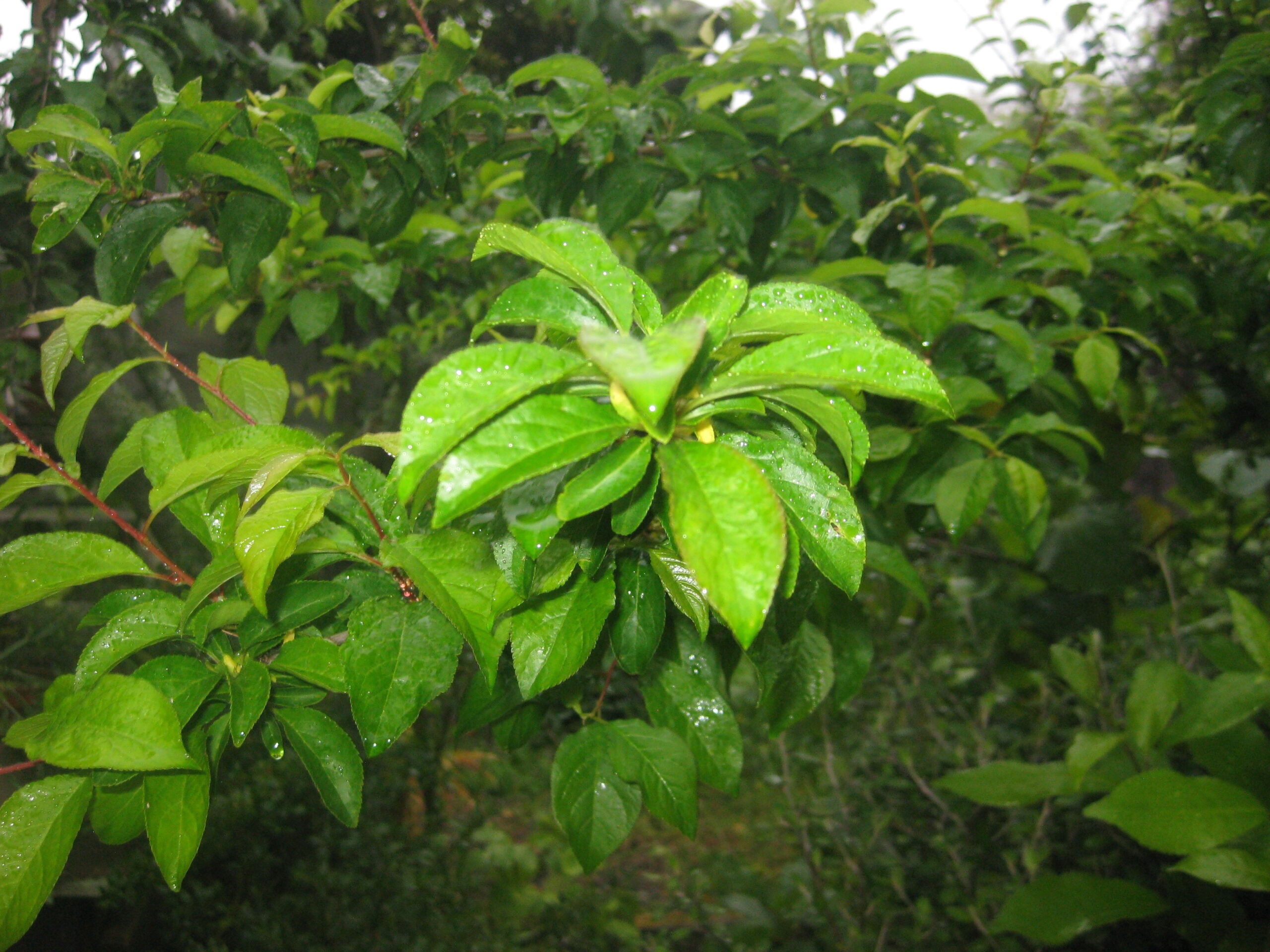 Learning Not to Leave 