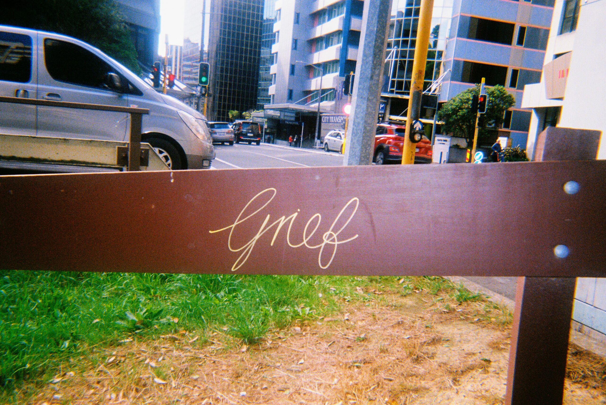 The Magpies Who Remember Your Face